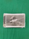 Delcampe - Cover Dutch East Indies, Approx. 90 Postcards Mainly Pre-1950 Including Better (zeppelin) In Small Box - Other & Unclassified