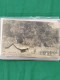 Delcampe - Cover Dutch East Indies, Approx. 100 Postcards All Pre 1940 Including Ethnic Scenes In Envelope - Other & Unclassified