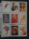 Delcampe - Collection Pin Up Girls Collector Cards Including Playboy, Vampirella Etc., Large Number Of Cards  in 2 Albums In Box - Other & Unclassified