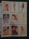 Delcampe - Collection Pin Up Girls Collector Cards Including Playboy, Vampirella Etc., Large Number Of Cards  in 2 Albums In Box - Other & Unclassified