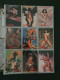 Delcampe - Collection Pin Up Girls Collector Cards Including Playboy, Vampirella Etc., Large Number Of Cards  in 2 Albums In Box - Autres & Non Classés