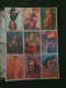 Delcampe - Collection Pin Up Girls Collector Cards Including Playboy, Vampirella Etc., Large Number Of Cards  in 2 Albums In Box - Other & Unclassified