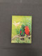 Delcampe - Cover 100s Of Postcards Mainly Landscapes, Christmas Etc. In Wooden Box - Autres & Non Classés