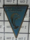 713L Pin's Pins / Beau Et Rare / SPORTS / DAUPHIN NATATION CLUB NAUTIQUE VAULXOIS - Natation