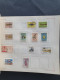 Delcampe - 1877/1939 Collection Used And * Including Mocambique, Azores, Congo, India Etc. With Many Better Items E.g. Vasco De Gam - Other & Unclassified