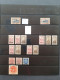 1919-1921, Specialized Collection Used And */** Including Better Stamps And Overprint Varieties In Ring Binder           - Other & Unclassified