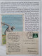 Delcampe - Cover 1890c. Onwards Interesting Collection Topic - Direct Mail To Doctors - With Many Nicely Illustrated Covers And Pos - Collections (with Albums)