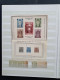 Delcampe - 1900c. Onwards Collection Forgeries In Stockbook - Collections (with Albums)