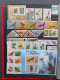 1915c./1995 Collection Insects And Butterflies, Nicely Arranged Collection With A Large Number Of Mostly ** Sets And Min - Collections (with Albums)