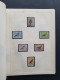 Delcampe - 1915c./1995 Collection Insects And Butterflies, Nicely Arranged Collection With A Large Number Of Mostly ** Sets And Min - Collections (with Albums)