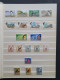 Delcampe - 1915c./1995 Collection Insects And Butterflies, Nicely Arranged Collection With A Large Number Of Mostly ** Sets And Min - Collections (en Albums)