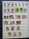 Delcampe - 1915c./1995 Collection Insects And Butterflies, Nicely Arranged Collection With A Large Number Of Mostly ** Sets And Min - Collections (with Albums)