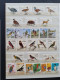 Delcampe - 1915c./1995 Collection Insects And Butterflies, Nicely Arranged Collection With A Large Number Of Mostly ** Sets And Min - Collections (en Albums)