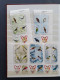 Delcampe - 1915c./1995 Collection Insects And Butterflies, Nicely Arranged Collection With A Large Number Of Mostly ** Sets And Min - Collections (with Albums)