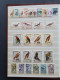 Delcampe - 1915c./1995 Collection Insects And Butterflies, Nicely Arranged Collection With A Large Number Of Mostly ** Sets And Min - Collections (en Albums)