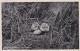 2606130Oerd Ameland, Jonge Zilvermeeuwen. (poststempel 1937) (minuscule Vouwen In De Hoeken) - Ameland