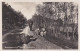 4770a50Texel, Boschbeplanting Rozenlaan. 1933. (FOTO MET ZILVERGLANS) (kleine Vouw Linksboven)  - Texel