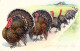 BW55. Vintage Tucks Postcard. Thanksgiving.  Line Of Turkeys Leaving The Farm - Thanksgiving