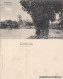 Ansichtskarte Bad Klosterlausnitz Am Klosterteich 1914 - Bad Klosterlausnitz