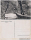 Ansichtskarte Kreischa Lungkwitzer Anlagen - Wasserfall 1922 - Kreischa