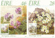 Ireland Maximum Cards 21-6-1988 Fauna & Flora 1988 Complete Set Of 3 - Cartes-maximum