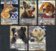 AUSTRALIA 2008 QEII 50c Multicoloured - Working Dogs Set Of Self Adhesive FU - Usados