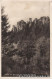Ansichtskarte Rosenthal-Bielatal Partie Im Bielatal -Herkules-Säulen 1930  - Rosenthal-Bielatal