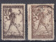 ⁕ Yugoslavia 1919 SHS Slovenia ⁕ CHAIN BREAKERS - VERIGARI 20 & 25 Vin. Mi.103, 104 ⁕ Errors, Shades 6v Used (1v MNH) - Used Stamps