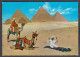 127354/ GIZA, Prayer Near The Pyramids - Gizeh