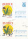 IP 96 A - 21a Forest, ERROR, Absence Fixed Stamp - Stationery - Unused - 1996 - Naturaleza