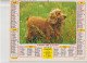 Almanach Du Facteur 1991, Chien Cocker / Chien Collet, LAVIGNE - Grand Format : 1991-00