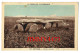 CPA - Dolmen - PENVERN - L'Allée Couverte - Edit. Waron Saint Brieuc N° 1572 - Dolmen & Menhirs