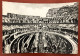 ROMA - Il Colosseo - Cartolina Viaggiata - 1959 (c10) - Colosseum