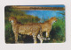 NAMIBIA  - Cheetahs Chip Phonecard - Namibië