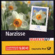 61 MH Blumen Narzisse 2006, Postfrisch ** - 2001-2010