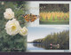 Finland PPC Suviterveiset Suomi Finland Butterfly Schmetterling Papillon UUSI-VALAMO 2003 Denmark Bird Vogel Oiseau - Briefe U. Dokumente