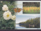 Finland PPC Suviterveiset Suomi Finland Butterfly Schmetterling Papillon UUSI-VALAMO 2003 Denmark Bird Vogel Oiseau - Storia Postale