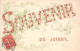 89-JOIGNY- SOUVENIR DE JOIGNY ( CARTE A PAILLETTES ) - Joigny