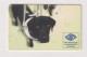 SLOVAKIA  - Guide Dog For The Blind Chip Phonecard - Slovaquie