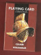 Playing Cards 52 + 3 Jokers.  LO SCARABEO  Coloseum     2006 - 54 Carte