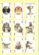 Playing Cards 52 + 3 Jokers.  LO SCARABEO  TEMPLAR   2008 - 54 Carte