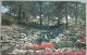 CANADA TORONTO ONTARIO HILLSIDE GARDENS ROCK PARK POSTCARD ANSICHTSKARTE CARTE POSTALE POSTKARTE CARTOLINA KARTE CARD - Cavan