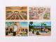 Lot Of 8 US Postcards - Sammlungen & Sammellose