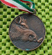 Medaille - Vadaszati Hatosäg / Jachtautoriteit /  Hunting Authority -  Original Foto  !!  Medallion  Dutch - Non Classés