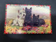 26-2-2-2024 (1 Y 16) Australia - Very Old (1940's ?) SA - Adelaide (dog) Novelty Postcard With "b/w Insert" - Adelaide