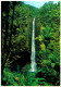26-2-2024 (1 Y 20) USA - Hawaii - Akaka Waterfalls / Falls - Honolulu