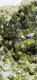 Epidoto Epidoto Cristalli BARGONE CASARZA LIGURE Italia  Su Matrice Cluster Drusa 22 Gr Naturale Chakra Cristalloterapia - Mineralien