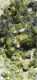 Epidoto Epidoto Cristalli BARGONE CASARZA LIGURE Italia  Su Matrice Cluster Drusa 22 Gr Naturale Chakra Cristalloterapia - Minéraux