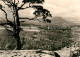 72963984 Gohrisch Blick Vom Papststein Auf Lilienstein Gohrisch - Gohrisch