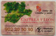 Spain 250 Pta. Chip Card -  Castilla Y Leon ( Lago ) - Emissioni Di Base